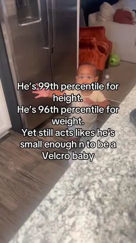 Big old baby 😅 #toddlersoftiktok #wlwtiktok 