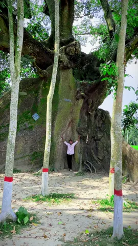 প্রতিবেশী