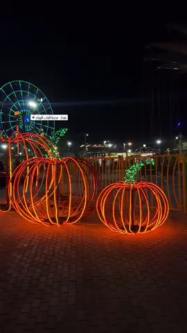 مدينة العاب الزوراء ترحب بكم 🥰 #بغداد_الحارثية #العاب_الزوراء #مدينةالعاب_زوراء 