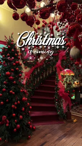 Đếm ngược 95 ngày tới Giáng Sinh 2024🎄❄️ #tiemtrathangtu #christmas #giangsinh #giangsinh2024 #noel #caphesaigon #cafe #coffee #saigon #fyp #bacxiunee #bacxiusaigon 