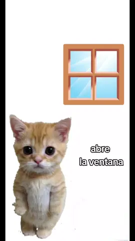 modo video para su monkyeamiga . . . . . . . . . . #Viral #enamorado #flores #serenata #VicenteFernandez #fyp #fyppppppppppppppppppppppp #floresamarillas #trendingvideo #fyp 