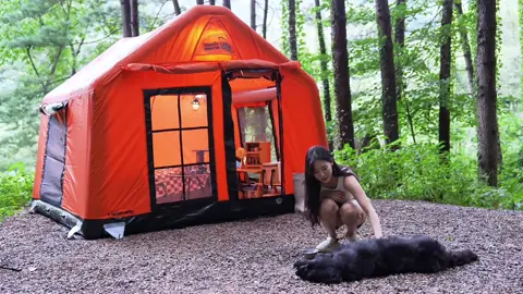 ワンちゃんを連れてソロキャンプを楽しんでいきました。美味しいキャンプ飯を作って食べましたが、最高のキャンプでした。🏕️ #camping #ソロキャンプ #オートキャンプ #グランピング #ホシノンアウトドア 