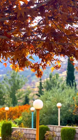 #پاییز🍂🍁 #ئەمین_بانی #kurdstan #sulaymaniyah #fyp 