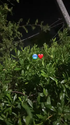 المقطع الي مستحيل اتخطا 🥹#تصويري📷 #حميد 