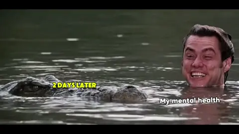 #Meme #MemeCut #imalive #oneofthesedays #alligator #ohhnonononono #fyp #777 