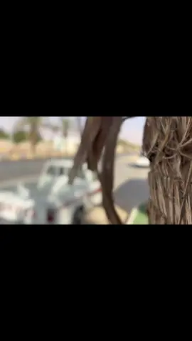 #كسبلور #ماشاءالله_تبارك_الله_ #نصب #يبنيه🎌 