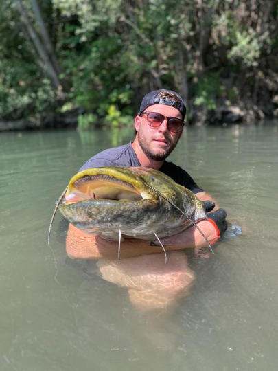 CATCH AND RELEASE #wtf #fypシ゚ #fishing #viral #pêche #silure #bigfish #silureglane  #pourtoi #monsterfish #angling #foryouu #wildlife #naturelover #catfish  #fyppp #whopperplopper #fish #poisson