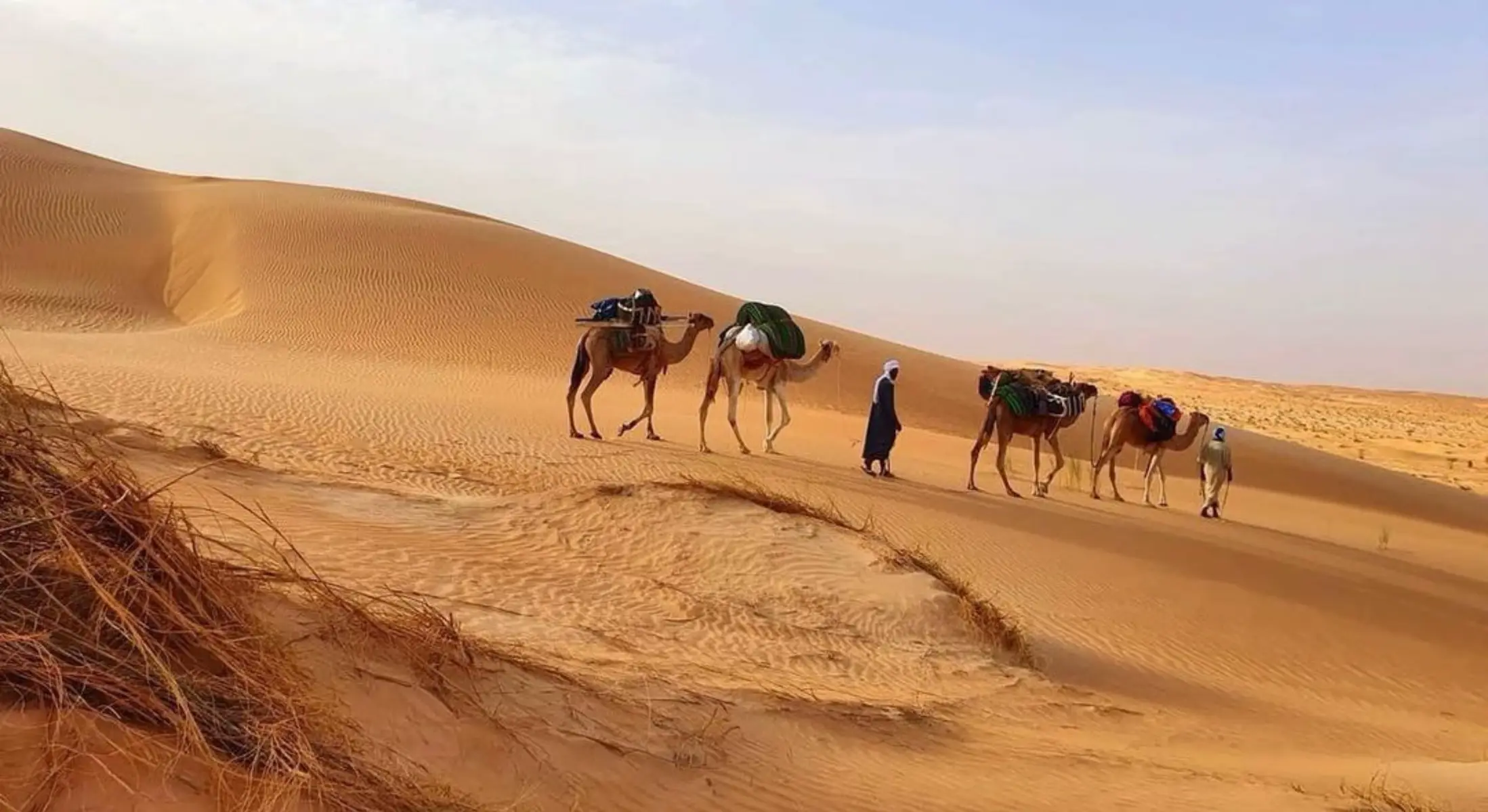 مانبغي نمشي عن دبشي@فالدنية وانزيد الدبش يغير يلالي يذ من شي@مانبغيلو يمشي وأمش هي الدنية يلي عزيت@الدنية راهيالك فاغنيت الدنية فيها لا تميت@فالغفل عن ربك نفشه عدل فيه گد لگديت@تعدل من حسنة رمشه فحياتك يكانك لاتيت@توخظ منها وقت رهشه تجبر گدامك لاجيت@تتغدى بيه و تتعشه الدنية يا صحت لخبار@يلي تبقي فيها قرار راهيالك  ماهي  دار@ ممتع  فيها   منفلشه فيها ايجيك انهار ازدهار@مانك عادي بيك لكلشه فانهار اوخر فيها يمرار@اعليك لي ريتو رهشه ونهار اعود اغداك العيش. # ونهار اعود اغداك انش #CapCut #explore #tiktokarab #موريتانيا #لغن_الحساني_الموريتاني🇲🇷 #عيدالمولدالنبويالشريف #الشعب_الصيني_ماله_حل😂😂 