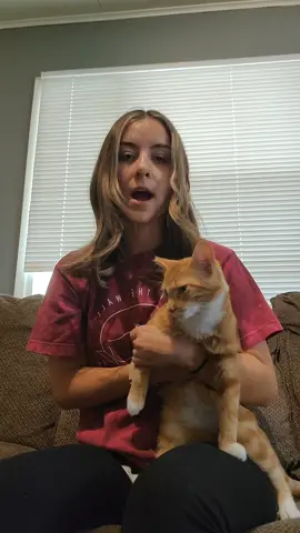typical orange man behavior  #orangecat 