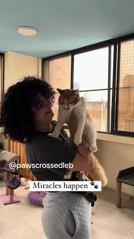 Hello, my name is Sandra Mouawad, and we are Paws Crossed Lebanon—you, me, and my animals. Together, we’ve built something special, and I wouldn’t be here without your support. The word “miracle” feels small compared to what it truly takes to rescue these animals. Each recovery is a battle—one that takes time, resources, and so much energy. It’s a part of me, given to them. Every day means checkups, surgeries, medication, and constant care. There’s physical and mental healing involved, for them and for me. Nothing comes easily, and nothing comes cheaply. But is it worth it? Absolutely. I wouldn’t trade this life for anything. If I had to live it all over again, I would choose this path in a heartbeat. The love I have for my animals is endless, and I know this is what I’m meant to do. Because of people like you, I’ve been able to do this. Even when faced with judgment, bullying, or doubt, I know every decision I make is for them. If it meant giving a piece of my heart to keep theirs beating, I would do it without hesitation. Now, we need you more than ever. To continue making these miracles possible and keeping our shelters running, we need your support. Please donate. Your kindness makes all the difference. Link in bio. #adoptdontshop #rescue #lebanon  Disclaimer: Some people are using my name to ask for money without my permission. This is why i added my watermark! Please only donate through the official links in my bio. Thank you for your support!