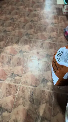 รีโพสต์หน่อยครับ😍#ท้ายหมูดุด 