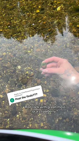 Replying to @Chiefbeast79gaming 