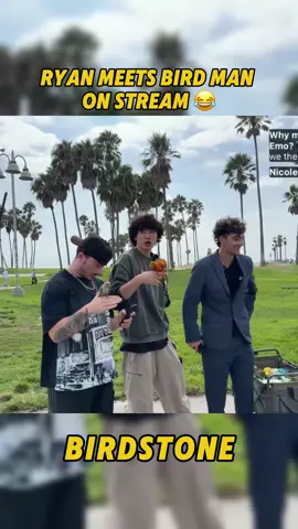 Can birds fly #fyp #viral #trending #ryantang 