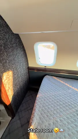 Bombardier Global 7500 #aviation #view #viralvideo #viral 