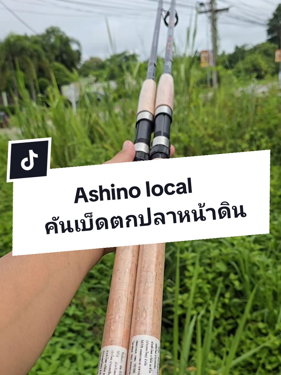 Ashino local คันเบ็ดตกปลาหน้ากินยอดนิยม ราคาประหยัด ไม่ควรพลาด!! #ขึ้นฟีดเถอะ #อุปกรณ์ตกปลา #ปักตะกร้า #คันตกปลาหน้าดิน #คันเบ็ดตกปลา #คันเบ็ด #ตกปลา 