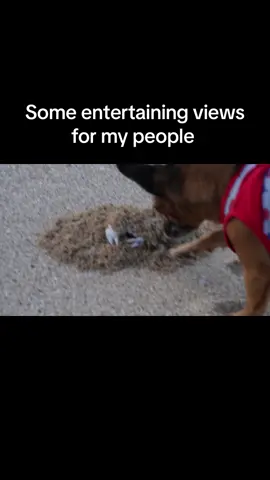 🫶🏼🫶🏼🫶🏼