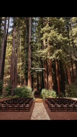 #viral #blowthisup #repost #wedding #future #dream #dreamwedding #forest #nature #aesthetic #fyp #foryou #foryoupage