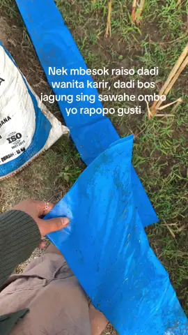 Manut njenengan mawon #fy #petani #petaniindonesia🇮🇩🇮🇩🇮🇩🌿🌿 #tulungagung 