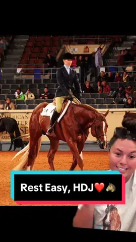 Rest Easy, Hot Diggity Joe🐴 #HotDiggityJoe #AqhaStallion #StallionsofTiktok 