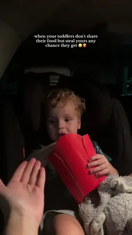 Dont freak out i got 1 medium fry and asked for two large fry containers to split them into 🫠 #fyp #mcdonalds #fries #fries🍟 #funnytoddler #twins 