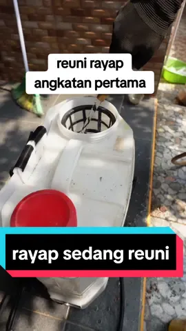REUNI RAYAP, Pentingnya perawatan rutin terutama pada bangunan atau rumah untuk mencegah koloni rayap. Siapkan anti rayap dan tuangkan pada tangki spray sesuai takaran yang disarankan dengan campuran air dalam satu wadah atau tangki spray. Semprotkan pada seluruh bagian ruang reuni untuk menghambat penyebaran yang lebih luas, Bersihkan dan cari pintu masuk utamanya dan perbesar agar lebih mudah dalam penyemprotan anti rayap. Lakukan pencegahan secara berkala minimal 3 bulan sekali untuk tahun pertama dan satu tahun sekali untuk tahun berikutnya #tips #antirayap #perawatanrumah #bangunan #education 