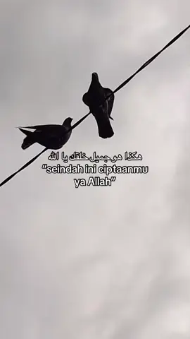 #quotesaesthetic #quotesislami #syairarab #storytime #islamic_video #arabicsong #fyp #xyzbca 