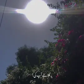 Dekhka ik khwab 🎶👀❤️#zmvideogrhper #trending #coversong #oldsong #bollywood  . . . . . . #oldsong #india #bhfyp #tiktok #trending #singer #song #bollywood #musician #old #songs #lyrics #newsong #status #melody #coversong #popmusic #lovesongs #lovesong #bollywoodsongs #oldisgold 