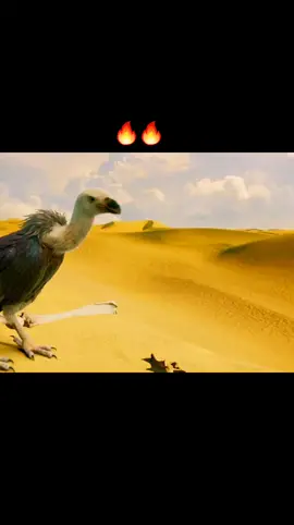 Burning Flames Vj ice p #vjicep #actionmovie #fantasy #2024 #Nicholmovies #Foryou 