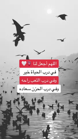 #حفيد_العجوز🖤🖤 