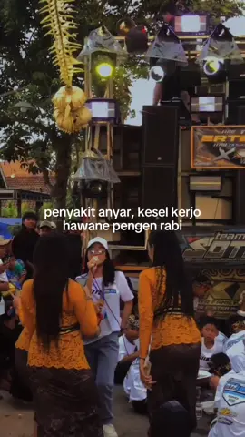 🥱 #kfaudio #soundsystem #soundsystemmalang #soundsystemjawatimur 