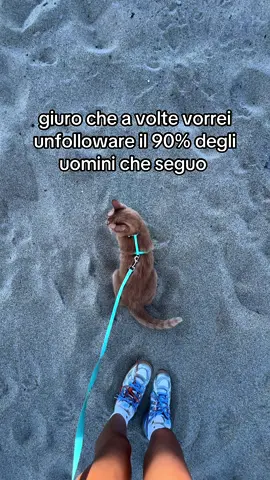 anzi,tutti #fyp 