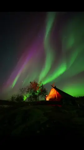 Campfire moment in September 🔥I don't usually tale timelapse, but this time I had to😍 #finland #lapland #northernlights #aurora 