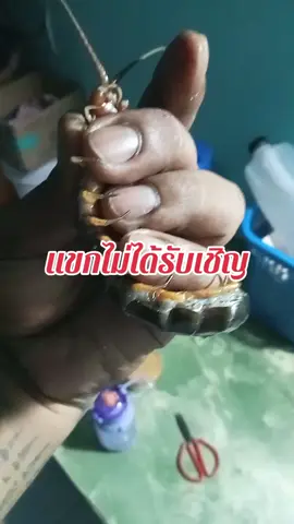 สายด่วนสิครับ