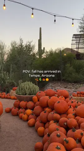 Happy first day of fall from Tempe, Arizona! 🍂🍁🌴 Even if the weather hasn't quite aligned with the new season just yet, our ✨ mindset ✨ is already there. And with this new season comes a ton of exciting events and experiences to look forward to including Oktoberfest, Haunted Brewery Tours at Four Peaks, the return outdoor markets like Little Cholla, the Arizona Craft Beer Awards & Festival, Strange Garden at Desert Botanical Garden, and so much more!  Stay tuned for our upcoming 