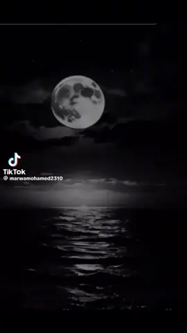 #اللهم يارب🫀🤲احتجبت بنورك #الدائم الكامل 🫀💔🤲😢 #الشيح مصطفي حسني 🫀💔😢