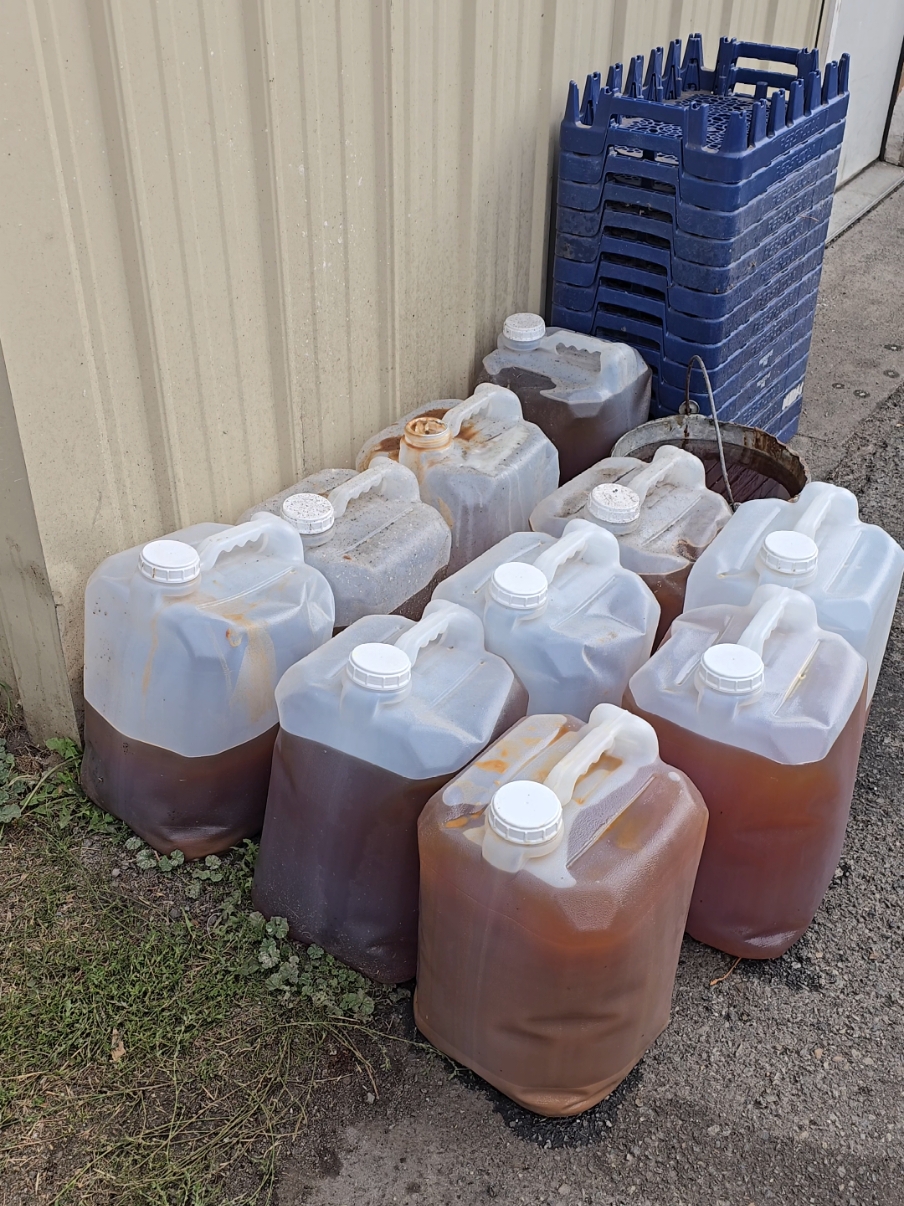 Would I have eaten the food if I knew it was cooked in this?? Probably not, fam. 😅🤢🤮 #countyfair #fairfood #foodietiktok 