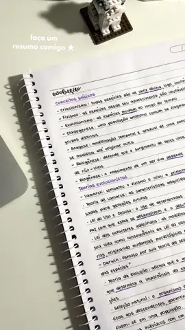 antigamente fazia muito esse tipo de vídeo, ai deu vontade de fazer dnv 😽 #foryou #study #studytok #estudos #viral #mynotes #student #studying #studywithme 