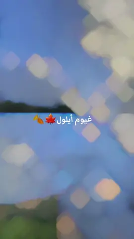 ....🍁🍂 #لايك_متابعه_حركة_الاكسبلور❤🦋explorer 