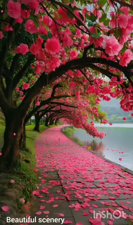 Beautiful scenery #paradise #flower #flowers #scenery #beautiful #nature #view #views #day #lac #lack #شجر #طبيعة #هدوء #ربيع #بحيرة #الجنة 