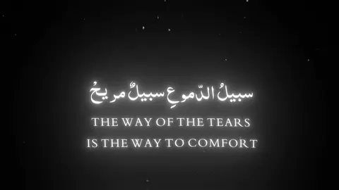 #سبيل_الدموع_سبيل_مريح #شاشة_سوداء #نشيد #نشيد_حزين  #thewayofthetears #nasheed 