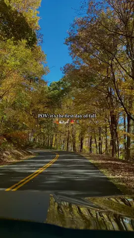 Not to be over dramatic but I’ve waited all year for this 🤭☕️✨🍂 #fall #granolagirl #fallaesthetic #autumn #autumnequinox #fallfashion #blueridgeparkway #fallvibes #fallootd #twilight #travel #nc #asheville #pov #northcarolina #fyp #autumnvibes #granolagirlaesthetic 