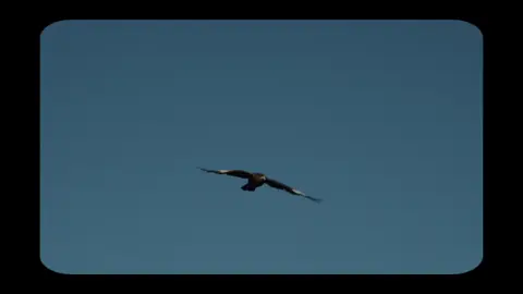 #محمد_أيوب #quran #قرآن #b_o_n14 