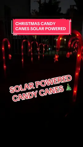 Really nice candy cane pathway lights! You could hang these as well since they are solar powered ! #fyp #foryou #christmas #christmas2024 #christmasdecor #xmas #candycanelights 