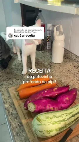 Respondendo a @Núbia Dos Santos Pires Receita do patezinho preferido da pipi! #fypシ゚ #foryoupagе #gatinhosfofos 