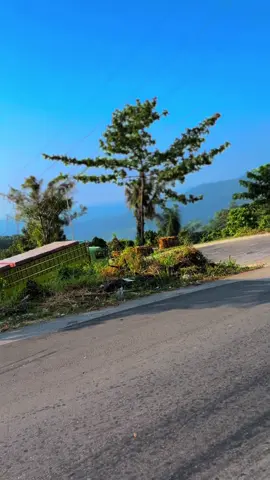 Pesona Kayu langi🏔️