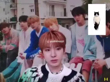 #yushi as orange cat feat panda cat #엔시티위시 #유우시 #ユウシ #NCT #NCTWISH #cats #foryou #foryoupage #fyp