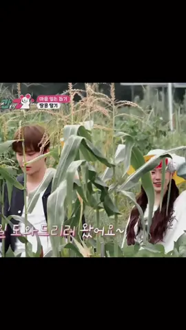 Farel, Luna cabang korea #jungwoo #miyeon #nct127 #gidle  #cityzgoestothecountryside 