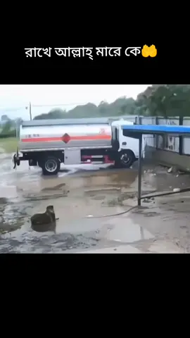 #শিক্ষনীয়_একটি_ভিডিও_তুলে_ধরলাম #@For You #@Creator Academy #@Creator Portal Bangla #@TikTok Bangladesh #@For You House ⍟ 