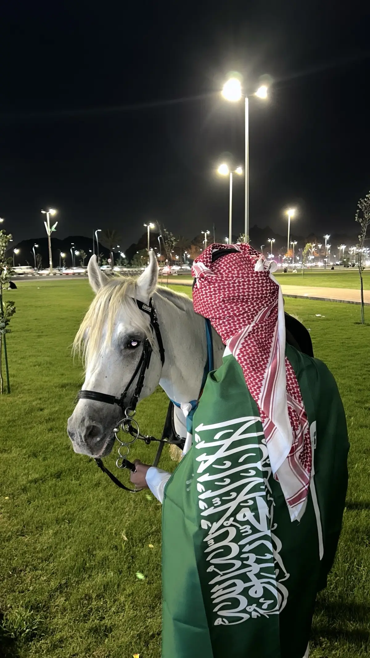 #حايل #حايلندا #المغواة #السعودية #93saudinationalday #الشعب_الصيني_ماله_حل😂😂 #الهاشتاقات_للشيوخ #اكسبلورexplore #CapCut #تيك_توك #fypシ゚viral #tiktokviral #اكسبلور #لايك #foryoupage #fypシ 