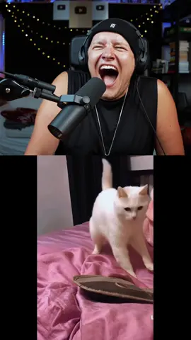 Cats love beatbox 🤨 right ? #beatbox